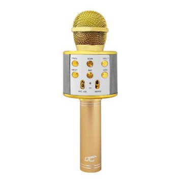 Dětský karaoke mikrofon LTC LXMIC100R Gold